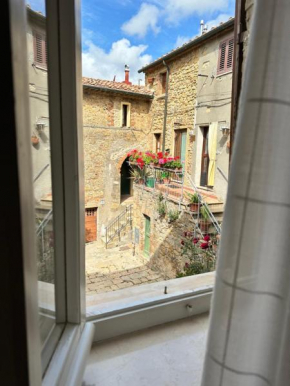 81Passi